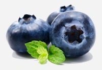 8. rész A daganatos betegségből gyógyult betegek tapasztalatai